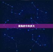 属兔的今年多大 属兔的和什么属相最配