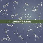 上升星座月亮星座查询，精准上升星座查询器