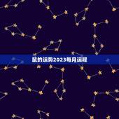 鼠的运势2023每月运程，2023属鼠人全年运势女