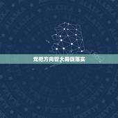 党把方向管大局促落实，国有企业保落实还是促落实