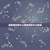 算属猪的配什么属相忌配什么属相，属猪和什么属相最配？和什么属相不配？