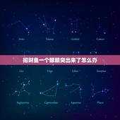 招财鱼一个眼睛突出来了怎么办，招财鱼眼睛突出怎么办，能不能治好，一只眼