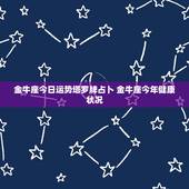 金牛座今日运势塔罗牌占卜 金牛座今年健康状况