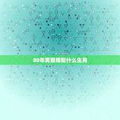 80年男猴婚配什么生肖，男属1980年猴的和什么属相最配