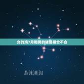 女的鸡7月和男的猪属相合不合，男属猪，女属鸡 八字 合不合？