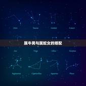 属牛男与属蛇女的婚配，属牛的男生和属蛇的女生在一起合适吗？能结婚过日子