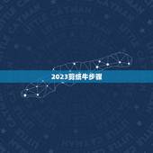 2023剪纸牛步骤，2023年牛年窗花教程有哪些？