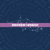 属猴的婚配哪个属相最好的，属猴的和什么属相最合适