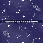 龙配猪婚配好不好 龙配猪婚适合在一起