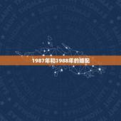 1987年和1988年的婚配，1987年男和1988年女能否婚配吗