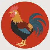 1981年属鸡的2025年运程：1981年属鸡的贵人是谁