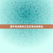 庚午年戊寅月乙巳日辛巳时命运