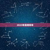 2023年是啥命年