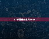 37岁属什么生肖2023，生肖年龄对照表2023