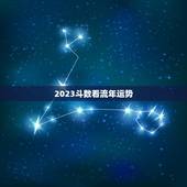 2023斗数看流年运势
