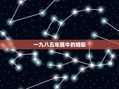 一九八五年属牛的婚配，85年属牛的和什么属相最配