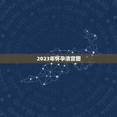 2023年怀孕清宫图，谁有清宫图啊？借鉴一下