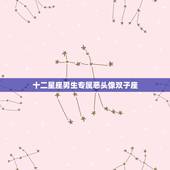十二星座男生专属恶头像双子座，12星座专属恶黑化头像