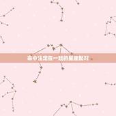 命中注定在一起的星座配对，与双鱼注定在一起的星座