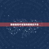 猴爸爸和牛宝宝的属相合不合，父母属猴生牛宝宝好吗