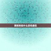 属蛇的起什么店名最旺，我属蛇服装店起什么名字好