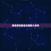 属兔男和属龙女婚配大吉吗，属兔男和属龙女的婚姻怎么样