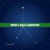 属狗的人适合什么属相的饰物，属狗戴什么生肖吊坠好