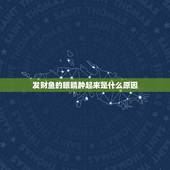 发财鱼的眼睛肿起来是什么原因，我家鱼眼睛肿起来好大，怎么解决？