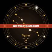 麦玲玲2023年运势测算牛，麦玲玲2023年运程