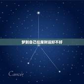 梦到自己拉屎财运好不好，梦到自己拉屎是什么意思