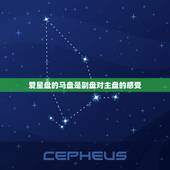 爱星盘的马盘是副盘对主盘的感受，同性马盘主盘群狮子