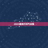 2023最流行洋气头像，2023最火牛气冲天的头像有哪些？