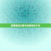 男属猪和女属牛的属相合不合，男属猪女属牛相配吗