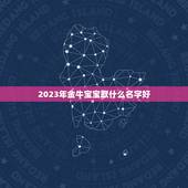 2023年金牛宝宝取什么名字好，2023年宝起名字大全寓意好