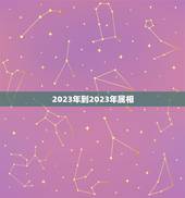 2023年到2023年属相，2023年2月12日属什么生肖
