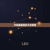 牛和兔属相合不合性格，牛和兔属相合不合性格呢