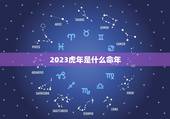 2023虎年是什么命年，2023年是什么虎