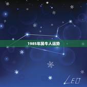 1985年属牛人运势，85属牛人2009年运程