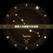 属狗人天枰座今日运势