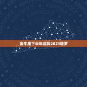 金牛座下半年运势2023塔罗，2023年金牛座运势