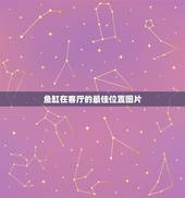 鱼缸在客厅的最佳位置图片，鱼缸摆放位置风水图