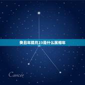 癸丑年腊月23是什么属相年，万年历查询1969年腊月23阳历是多少？