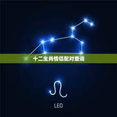 十二生肖情侣配对查询，十二生肖年份表