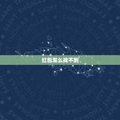 红包怎么找不到，怎么能快速找到红包