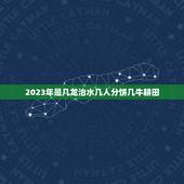 2023年是几龙治水几人分饼几牛耕田，2023年几牛耕田，几龙治水？