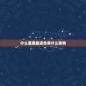 什么星座最适合养什么宠物，十二星座适合开什么车