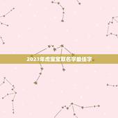 2023年虎宝宝取名字最佳字，属虎男孩取什么名字好