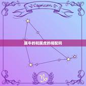 属牛的和属虎的相配吗，85年属牛女和86年属虎男，相配吗