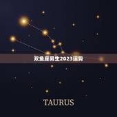 双鱼座男生2023运势，双鱼座男生2023运势学生