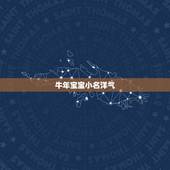 牛年宝宝小名洋气，牛年出生孩子的小名